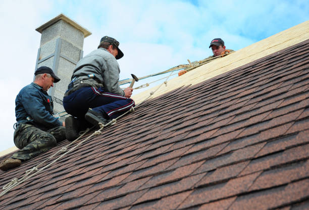Best Storm Damage Roof Repair  in Bayside, WI
